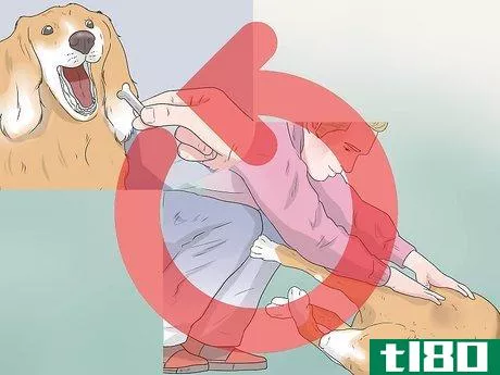 Image titled Train a Stubborn Dog Step 3