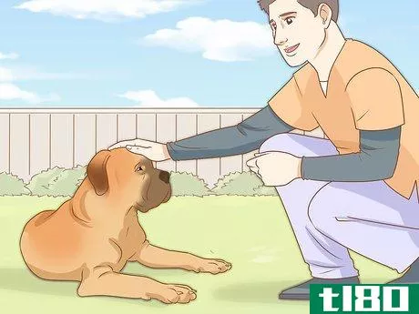 Image titled Tell if Your Dog Is Depressed Step 21