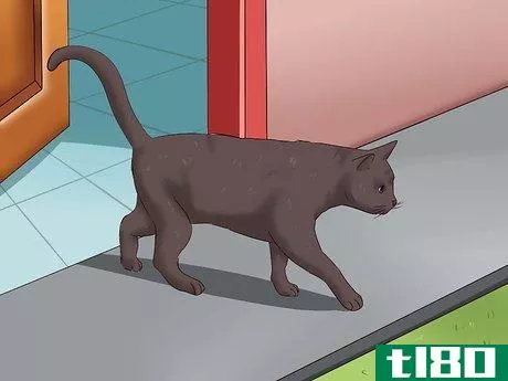 Image titled Stop a Cat from Clawing Furniture Step 15