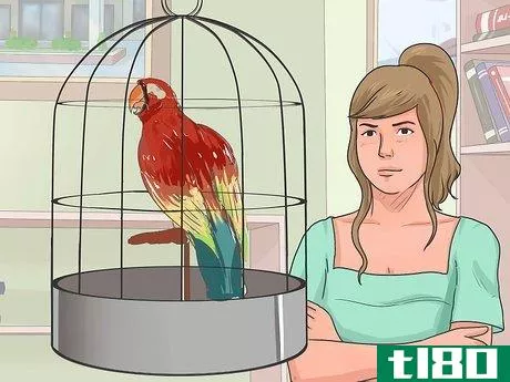 Image titled Teach Your Bird to Talk Step 11