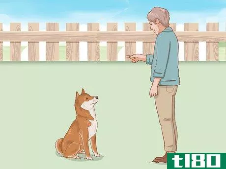 Image titled Choose a Shiba Inu Puppy Step 2