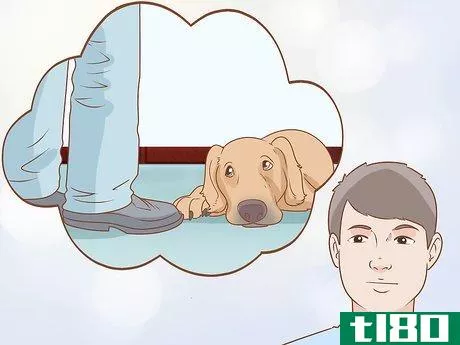 Image titled Tell if Your Dog Is Depressed Step 1