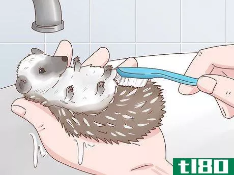 Image titled Take Care of a Hedgehog Step 24