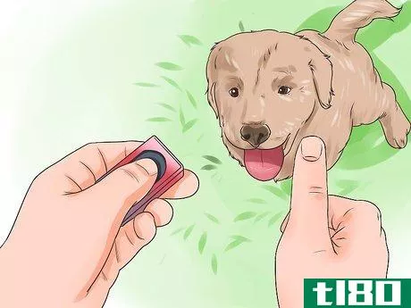 Image titled Teach Your Dog Tricks Step 4