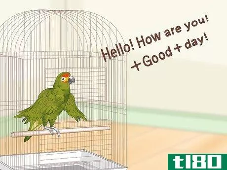 Image titled Teach Parrots to Talk Step 15