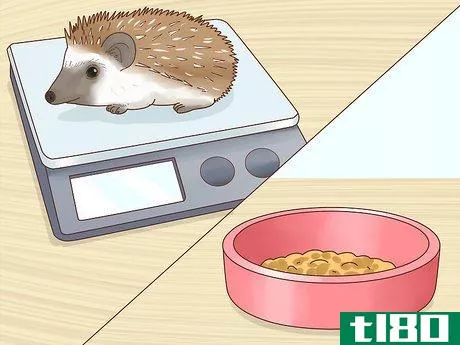 Image titled Take Care of a Hedgehog Step 15