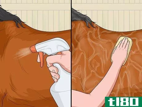 Image titled Treat Horse Lice Step 11