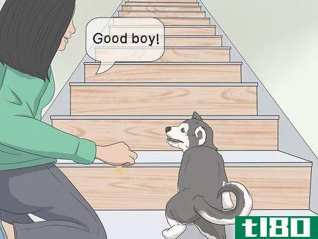 Image titled Train a Scared Dog to Go Down the Stairs Step 8