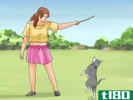 Image titled Stop Aggressive Behavior in Dogs Step 18