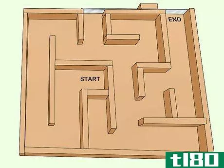 Image titled Train a Rat to Run a Maze or Obstacle Course Step 1