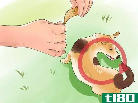 Image titled Teach Your Dog Tricks Step 8