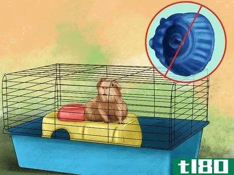 Image titled Take Care of a Hamster That is Giving Birth Step 3
