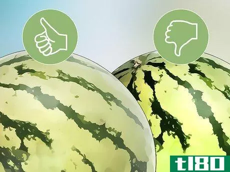 Image titled Tell when a Watermelon Is Ripe and Ready for Picking Step 6