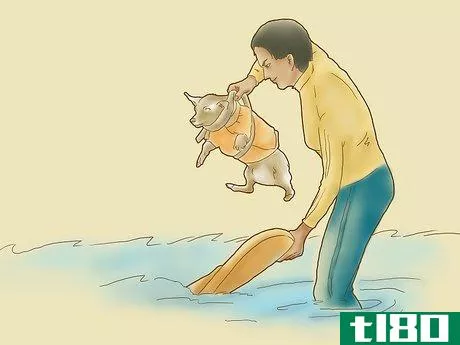 Image titled Teach Your Dog to Surf Step 4