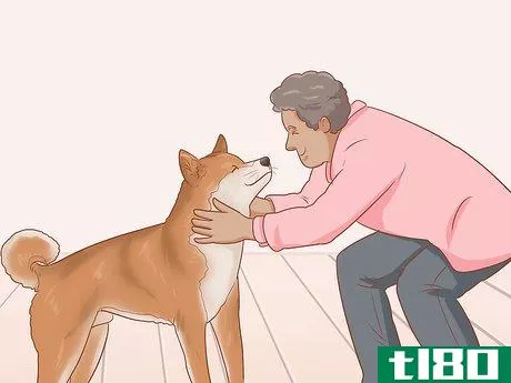 Image titled Choose a Shiba Inu Puppy Step 9