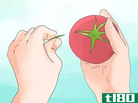 Image titled Can Tomatoes Step 2