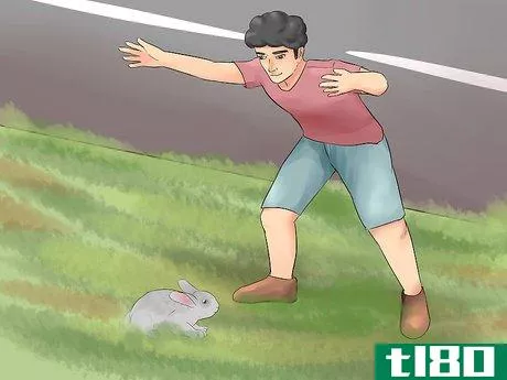 Image titled Catch a Pet Rabbit Step 15