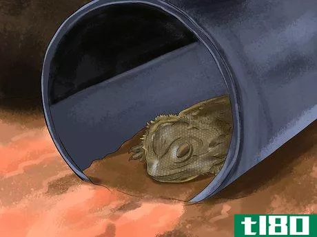 Image titled Care for a Sick Bearded Dragon Step 14