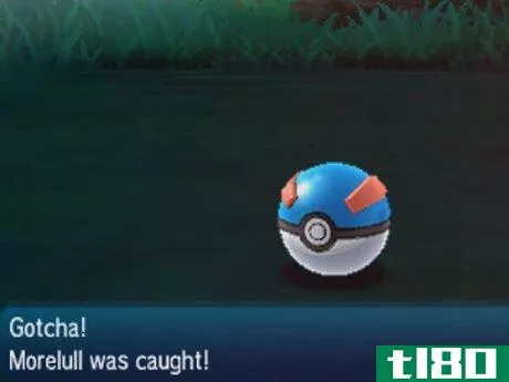 Image titled Catch Morelull in Pokémon Sun and Moon Step 6