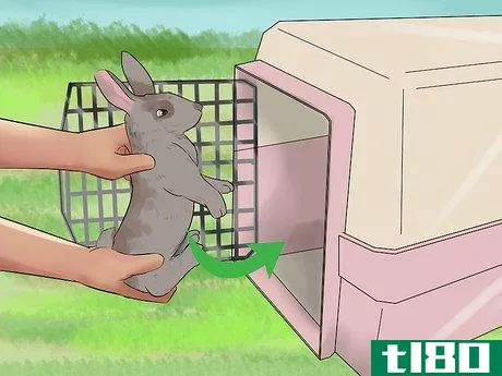 Image titled Catch a Pet Rabbit Step 18