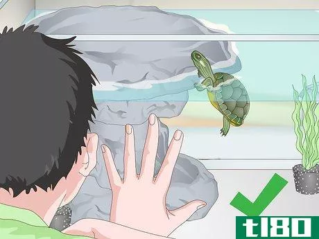 Image titled Care for a Turtle Step 14
