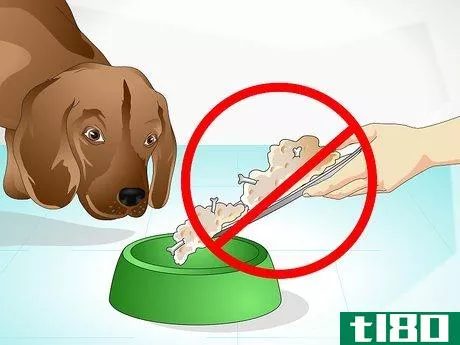 Image titled Care for a Sick Dog Step 15