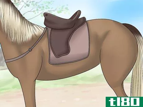 Image titled Care for a Gaited Horse Step 3