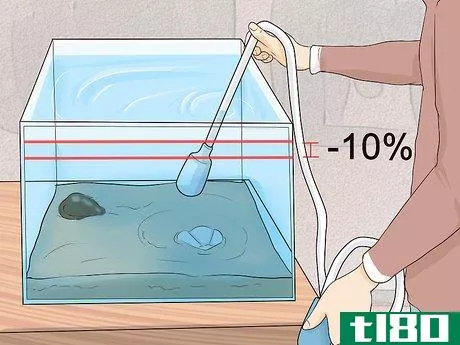 Image titled Clean a Saltwater Tank Step 4