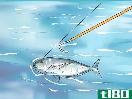 Image titled Catch Kingfish Step 16