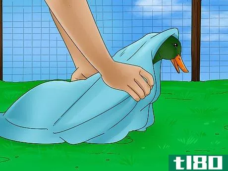 Image titled Catch a Duck Step 14