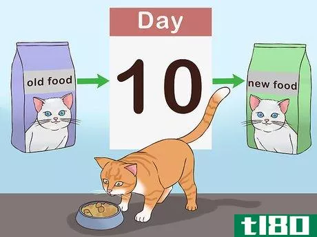 Image titled Change Cat Food Step 4