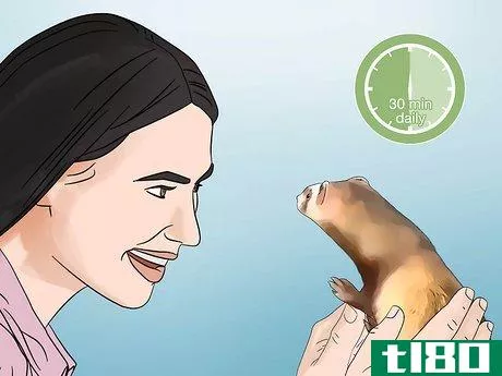 Image titled Care for a Ferret Step 14