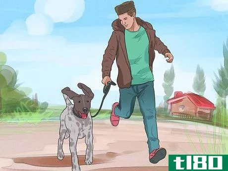 Image titled Care for German Shorthaired Pointers Step 12