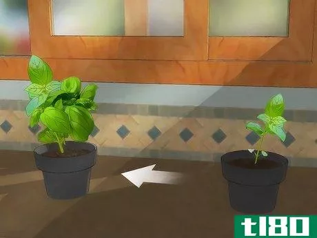 Image titled Grow an Indoor Herb Garden Step 14