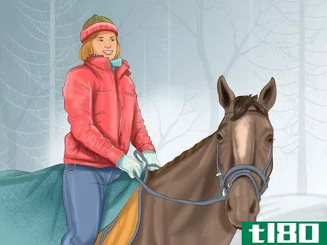 Image titled Care for Your Horse In the Winter Step 12