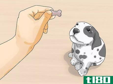 Image titled Care for a Dalmatian Step 19