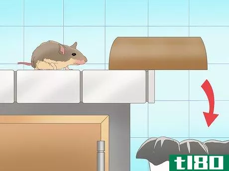 Image titled Catch a Rodent in Your House Step 14