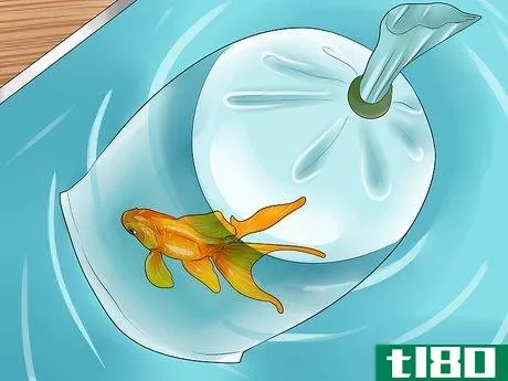 Image titled Look After Tropical Fish Step 11
