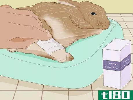 Image titled Care for an Injured Rabbit Step 8