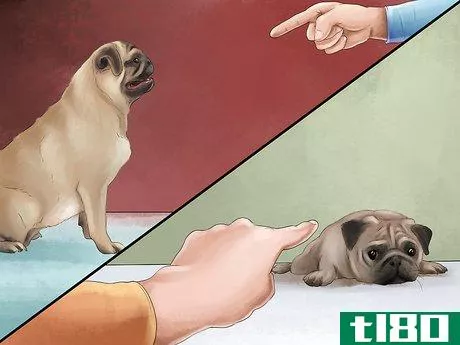 Image titled Care for a Pug Step 13
