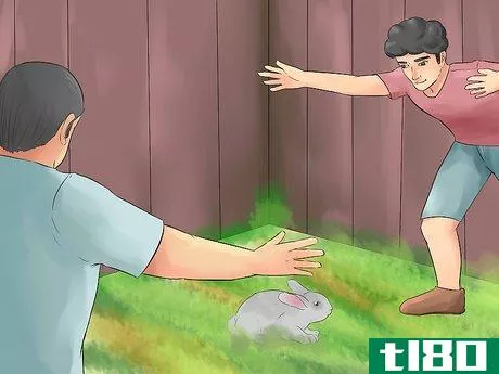 Image titled Catch a Pet Rabbit Step 16
