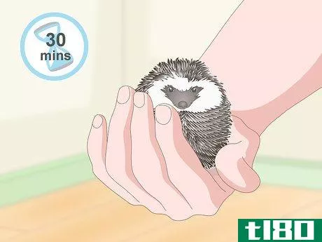 Image titled Carry a Hedgehog Step 17