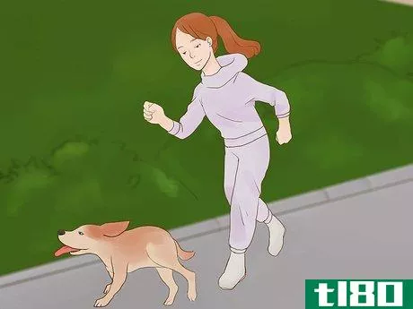 Image titled Catch Your Dog when They Run After Another Dog or Person Step 11