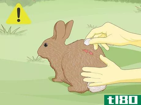 Image titled Care for an Injured Rabbit Step 11