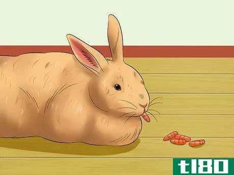 Image titled Care for Satin Angora Rabbits Step 8