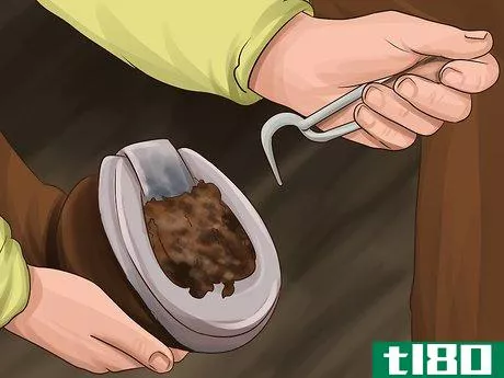Image titled Care for Your Horse After Riding Step 11