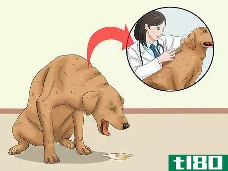 Image titled Keep a Dog From Throwing Up Step 11