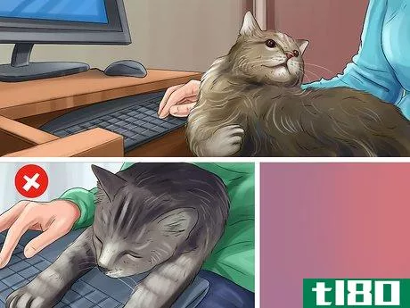 Image titled Cat Proof Your Computer Step 11