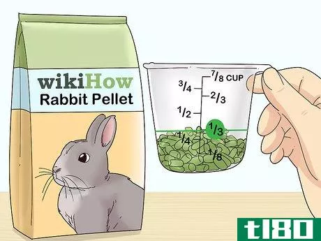 Image titled Care for a Polish Rabbit Step 7
