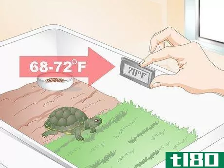 如何如果你的乌龟拒绝进食，请喂它(feed your turtle if it is refusing to eat)